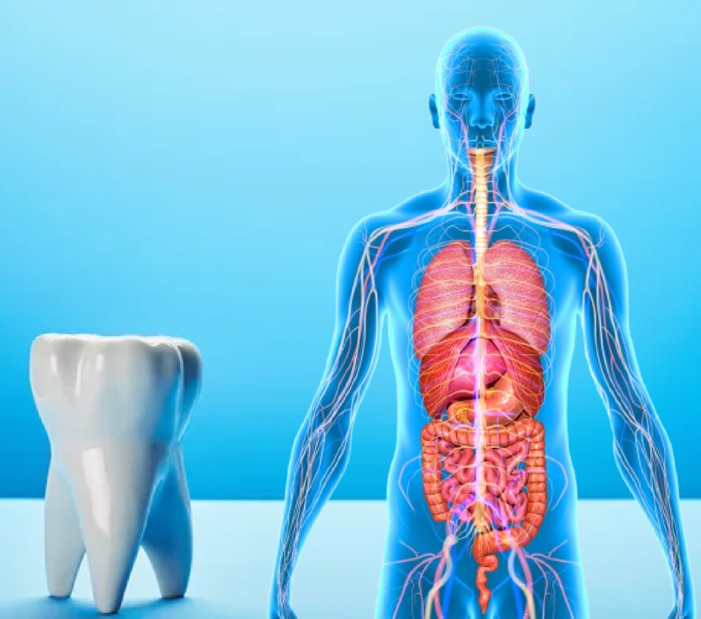 La Relation Entre la Santé Bucco-Dentaire et la Santé Globale